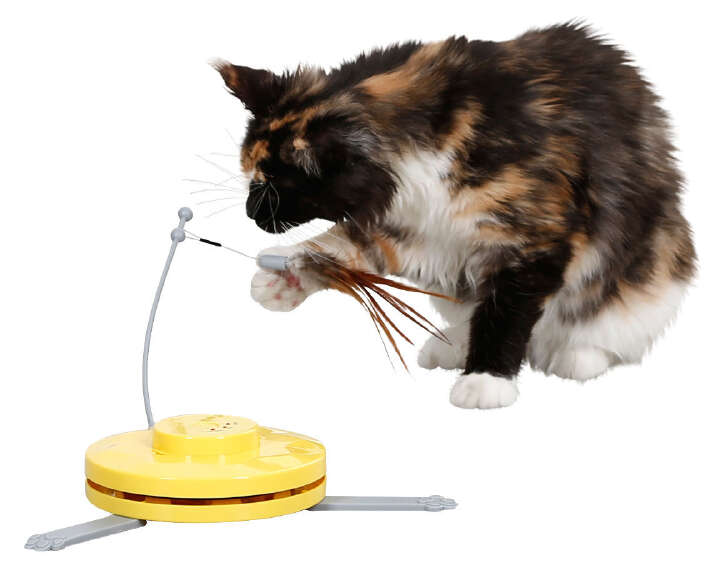 KERBL Katzenspielzeug 2in1 Catch the TailFeather